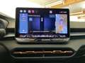 CUPRA Terramar VZ Americas Cup Limited Edition 2.0 TSI DSG 4Drive Gris - thumbnail 29