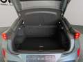CUPRA Terramar VZ Americas Cup Limited Edition 2.0 TSI DSG 4Drive Gris - thumbnail 10