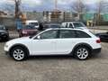 Audi A4 allroad quattro 2.0 TFSI * Exclusive * Weiß - thumbnail 10