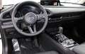 Mazda CX-30 2.5L G140PS 6AT 2WD HOMURA Blanc - thumbnail 14