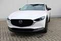 Mazda CX-30 2.5L G140PS 6AT 2WD HOMURA Blanc - thumbnail 3