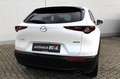 Mazda CX-30 2.5L G140PS 6AT 2WD HOMURA Blanc - thumbnail 8