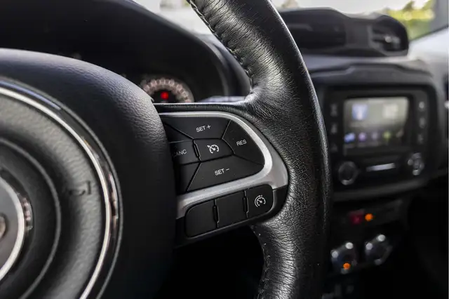 Jeep Renegade view 29