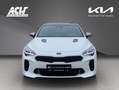 Kia Stinger STINGER 3.3T GT AWD AT 19Z FULL-LED HEAD-UP PANORA Weiß - thumbnail 2