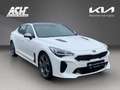 Kia Stinger STINGER 3.3T GT AWD AT 19Z FULL-LED HEAD-UP PANORA Weiß - thumbnail 3