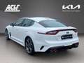 Kia Stinger STINGER 3.3T GT AWD AT 19Z FULL-LED HEAD-UP PANORA Білий - thumbnail 6