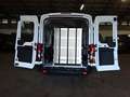 Ford Transit 350L3H2 Trend WiPa Rampe KMP BTW GRA Weiß - thumbnail 4