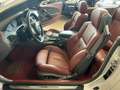 BMW 645 i Cabrio 333CV  TAGLIANDI BMW ! INTERNO CARTIER ! Plateado - thumbnail 15