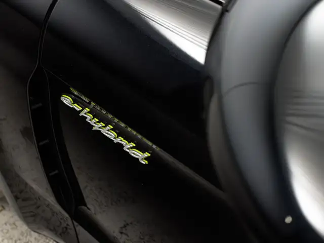 Porsche Panamera 4 E-Hybrid Ansicht 11