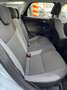 Ford Focus 1.6 TDCi 115 CV SW Argento - thumbnail 14