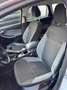 Ford Focus 1.6 TDCi 115 CV SW Argento - thumbnail 9