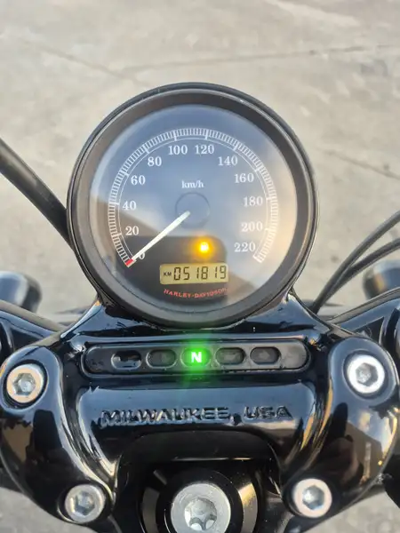 Harley-Davidson Sportster Forty Eight - foto 8