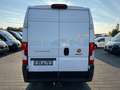 Fiat Ducato 35 150 L3 L4H2 Klima Navi TüV Service NEU Weiß - thumbnail 5