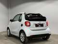 smart forTwo cabrio passion Cool& Media RFK Tempomat Blanco - thumbnail 5
