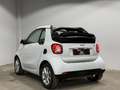 smart forTwo cabrio passion Cool& Media RFK Tempomat Blanc - thumbnail 5