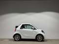 smart forTwo cabrio passion Cool& Media RFK Tempomat Blanco - thumbnail 13