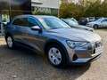 Audi e-tron 50 quattro I B&O I S LINE I LED I LANE Grau - thumbnail 9