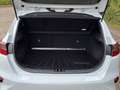 Kia Ceed / cee'd cee´d 1.4T DCT7 Vision|Komfort|Navi Weiß - thumbnail 14