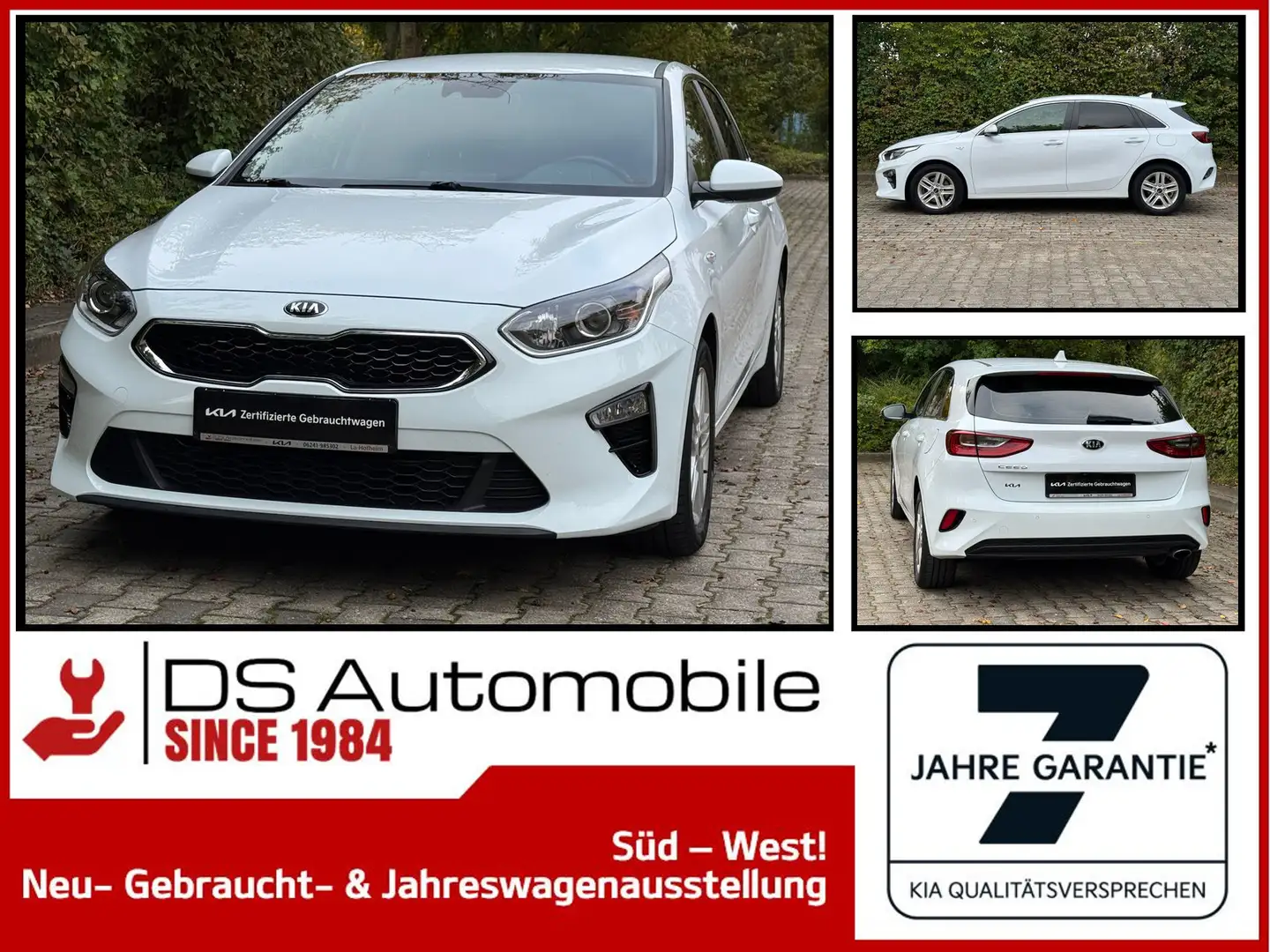 Kia Ceed / cee'd cee´d 1.4T DCT7 Vision|Komfort|Navi Weiß - 1