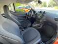 smart forTwo Cabrio 66 Passion Blanco - thumbnail 12