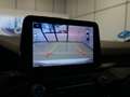 Ford Kuga ST-LINE X 2.5 Duratec PHEV 165KW(225CV)Automatico Blanco - thumbnail 16
