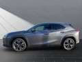 Lexus UX 250h 250 h STYLE Edition 15J-GARANTIE Gri - thumbnail 2