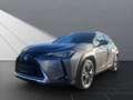 Lexus UX 250h 250 h STYLE Edition 15J-GARANTIE Gri - thumbnail 1