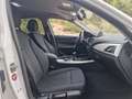 BMW 116 116i Blanco - thumbnail 14