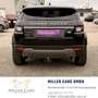 Land Rover Range Rover Evoque Pure 2,0 TD4 *neues Pickerl*Garantie* Noir - thumbnail 9