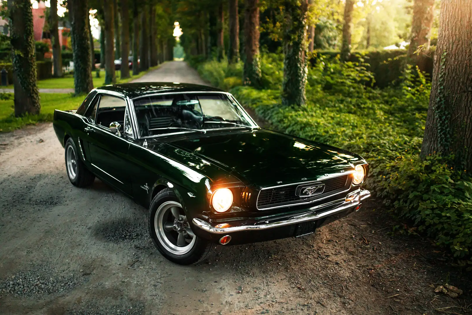 Ford Mustang - 1