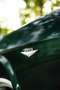 Ford Mustang - thumbnail 9