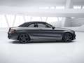 Mercedes-Benz C 200 4MATIC Cabriolet Cam PTS Navi AUT Wide LED Grau - thumbnail 10