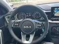 Kia Ceed / cee'd Kia Ceed Vision 1.5 TGDI Gris - thumbnail 19