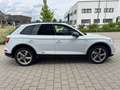 Audi Q5 50 TDI quattro sport+S line Competition Weiß - thumbnail 4