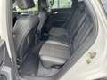 Audi Q5 50 TDI quattro sport+S line Competition Weiß - thumbnail 14