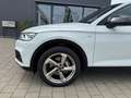 Audi Q5 50 TDI quattro sport+ S line Competition Weiß - thumbnail 9
