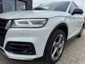 Audi Q5 50 TDI quattro sport+ S line Competition Weiß - thumbnail 10