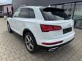 Audi Q5 50 TDI quattro sport+ S line Competition Weiß - thumbnail 7