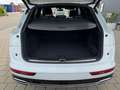 Audi Q5 50 TDI quattro sport+ S line Competition Weiß - thumbnail 16