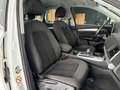 Audi Q5 Sportback 35 TDI S line*MATRIX*VIRTUAL*KAMERA Weiß - thumbnail 9