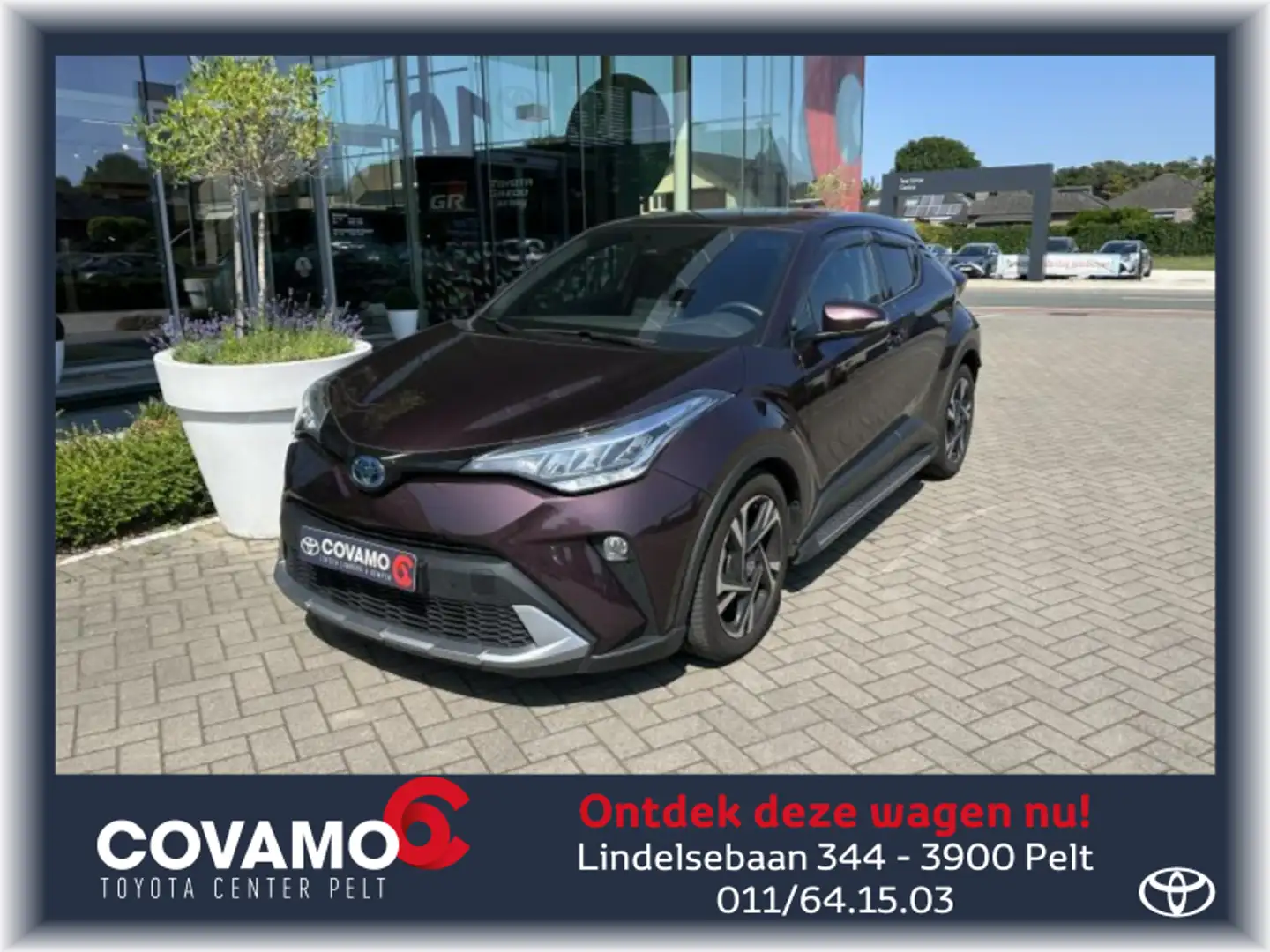 Toyota C-HR C-LUB Mono-Tone Gris - 1
