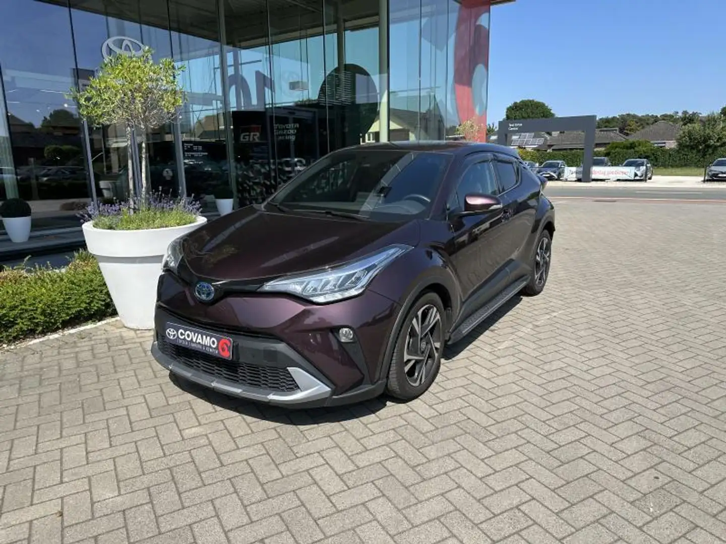 Toyota C-HR C-LUB Mono-Tone Gris - 2