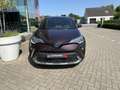 Toyota C-HR C-LUB Mono-Tone Gris - thumbnail 6