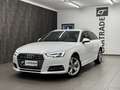 Audi A4 Avant 2,0 TDI quattro Sport S-tronic / LED/ SIT... Blanco - thumbnail 4