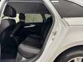 Audi A4 Avant 2,0 TDI quattro Sport S-tronic / LED/ SIT... Blanco - thumbnail 10
