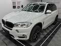 BMW X5 25 d/Bi-XENON/NAVI Prof./AHK/DRIVING A Weiß - thumbnail 1