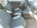 Fiat Panda 1.0 firefly hybrid City Life s&s 70cv Grigio - thumbnail 16