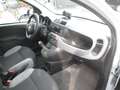 Fiat Panda 1.0 firefly hybrid City Life s&s 70cv Grigio - thumbnail 10
