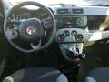Fiat Panda 1.0 firefly hybrid City Life s&s 70cv Grigio - thumbnail 11