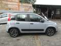 Fiat Panda 1.0 firefly hybrid City Life s&s 70cv Grigio - thumbnail 2